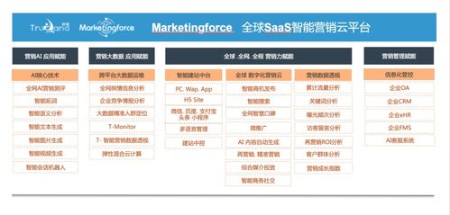 珍島集團(tuán)躋身工信部中小企業(yè)數(shù)字化賦能服務(wù)推薦目錄，引領(lǐng)企業(yè)管理服務(wù)新篇章